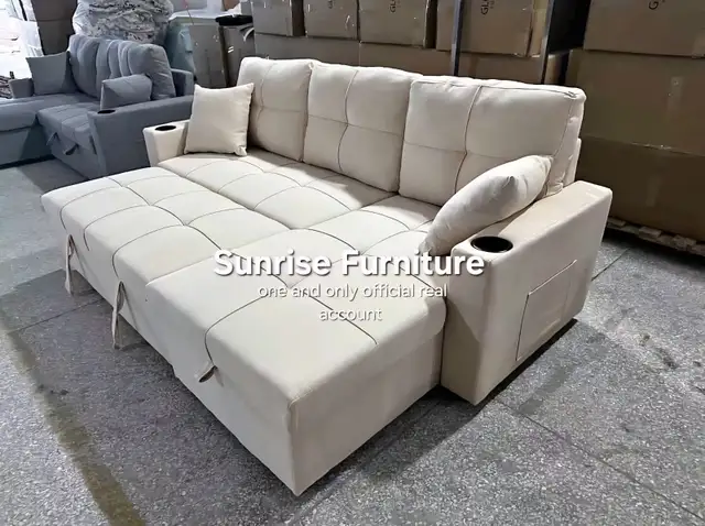 Storage Sofa Bed