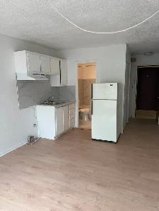 À Ahuntsic- près CEGEP - 1 1/2 à louer - Photo 4