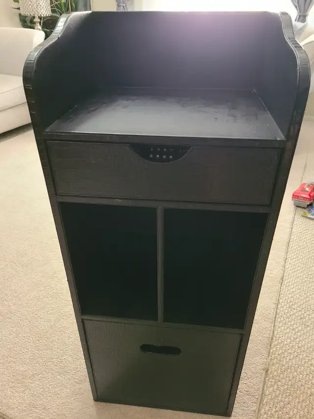 Shelv unit for $25.