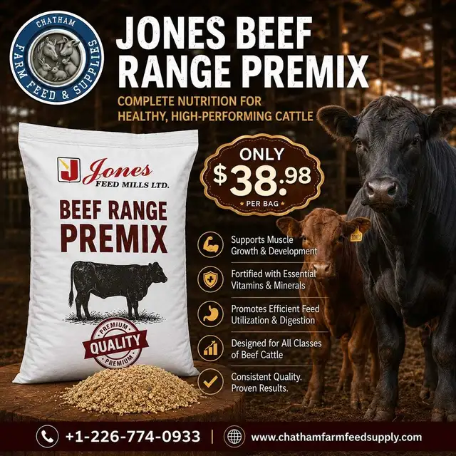 Organic beef range pellets