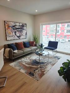 1 Bedroom Apartment with Balcony | In-Suite Laundry | Selkirk