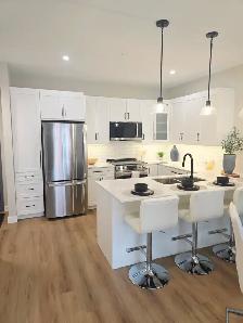 1 Bedroom Apartment with Balcony | In-Suite Laundry | Selkirk - Photo 3