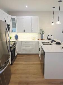 1 Bedroom Apartment with Balcony | In-Suite Laundry | Selkirk - Photo 4