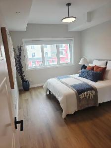 1 Bedroom Apartment with Balcony | In-Suite Laundry | Selkirk - Photo 7