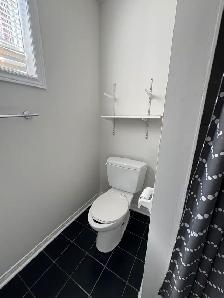 2 Bedroom Basement available from 1 July 2026 in Brampton. - Photo 9