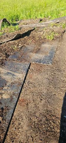 free Rubber Matts