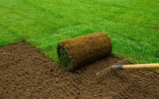 sod installed