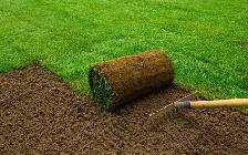 sod installed