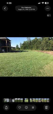 sod installed - Photo 2