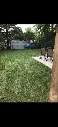 sod installed - Photo 3