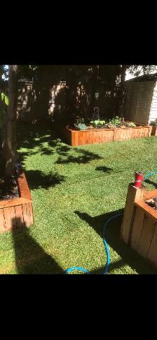 sod installed - Photo 4