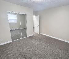 1 Bedroom Apartment in Tillsonburg starts at 1499 - Photo 7