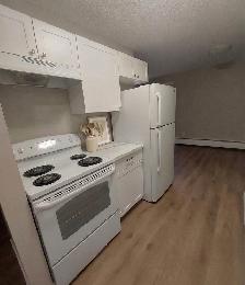 2 Bedroom Apartments in Stettler, AB - Photo 6