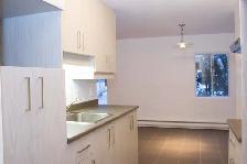 GRAND 4 ½  975PI2,ENTIÈREMENT RÉNOVÉ,1435$ TOUT INCLUS!JUILLET - Photo 2