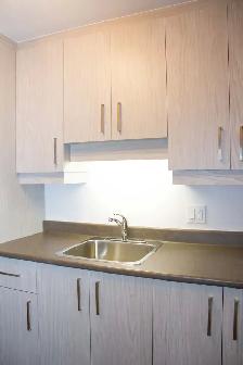 GRAND 4 ½  975PI2,ENTIÈREMENT RÉNOVÉ,1435$ TOUT INCLUS!JUILLET - Photo 7