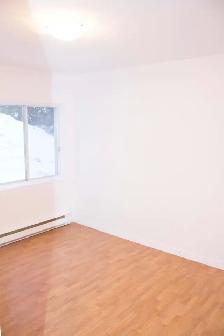 GRAND 4 ½  975PI2,ENTIÈREMENT RÉNOVÉ,1435$ TOUT INCLUS!JUILLET - Photo 10