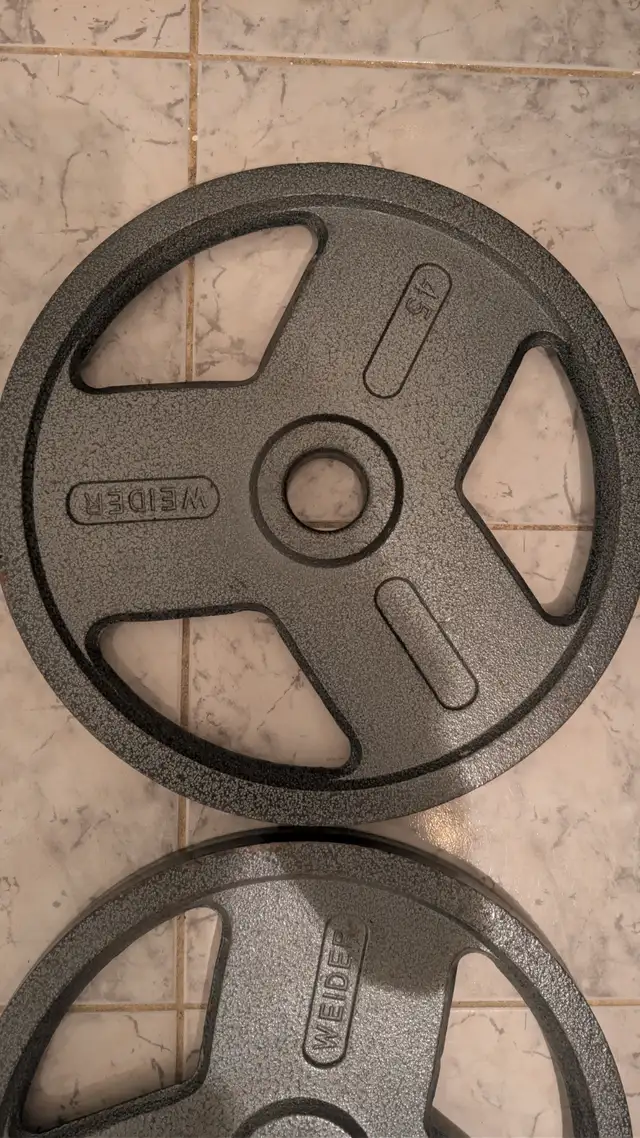 45lbs Olympic Weight Plates pair