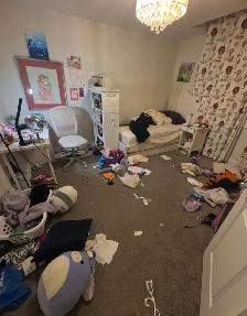 Home Cleaning Service - Photo 8