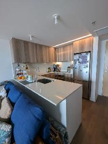 LOCATION 4 1/2 Griffintown 2400$/mois Dispo 1er Août 2026 - Photo 3