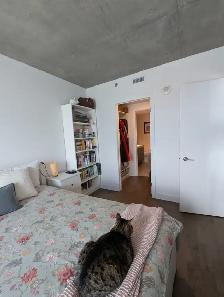 LOCATION 4 1/2 Griffintown 2400$/mois Dispo 1er Août 2026 - Photo 7