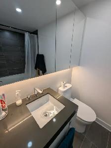 LOCATION 4 1/2 Griffintown 2400$/mois Dispo 1er Août 2026 - Photo 9