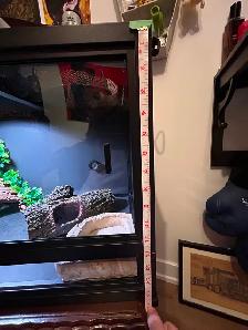 Reptile terrarium fully equipped - Photo 4