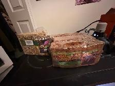 Reptile terrarium fully equipped - Photo 6