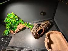 Reptile terrarium fully equipped - Photo 7
