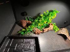 Reptile terrarium fully equipped - Photo 8