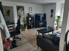 Avail July 1st New Reno Large One BR Apt & Balcony Quinpool Rd. - Photo 3