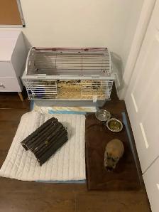 Lapin avec cage et tout le nécessaire - Photo 2