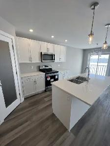Modern 3-Bedroom Duplex for Rent in Bonavista/Sage Creek Area – - Photo 12