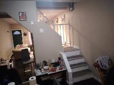Full House for Rent – Toronto – $2,700/month - Photo 7