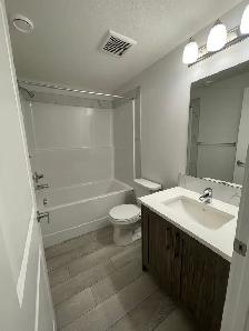 LEGAL BASEMENT SUITE  FOR RENT -  Livingston NW - Photo 6