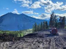 Mulching and Land Clearing Services - Photo 2