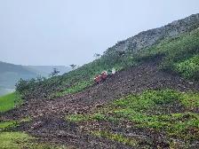 Mulching and Land Clearing Services - Photo 4