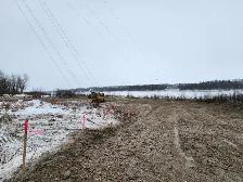 Mulching and Land Clearing Services - Photo 9
