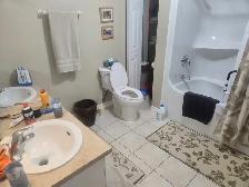 1 Bedroom  Apartment - Photo 3