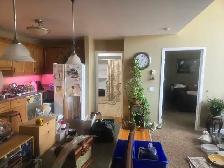 1 Bedroom  Apartment - Photo 4