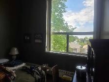 1 Bedroom  Apartment - Photo 7