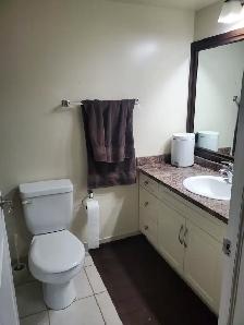 Roommate wanted! Extra 1 bed and 1 bathroom for rent in West Edm - Photo 7