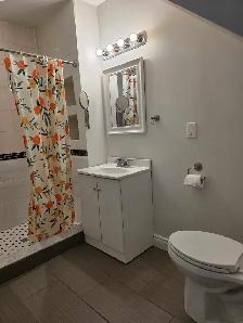1 Bed Apt Queen/Roncensvalles avail - Photo 8