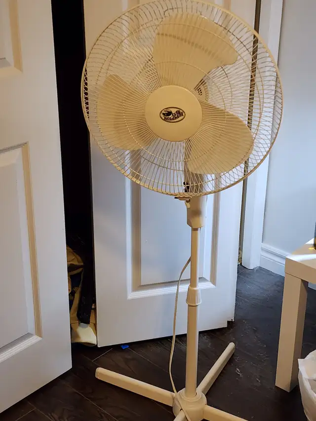 Electric Fan