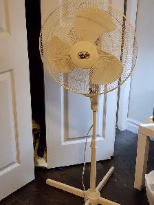 Electric Fan