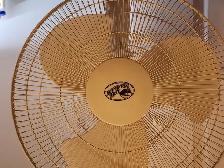 Electric Fan - Photo 2