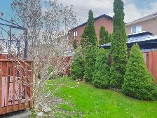 Large 3 bedroom detached home with finished basement for rent - Photo 10