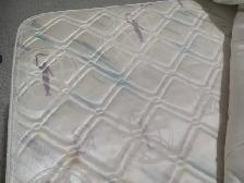 QUEEN SIZE BED- MATRESS  AND BOX SPRING WITH FRAME ON WHEELS - Photo 3