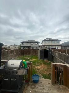 Spacious 5 Bedroom Duplex for Rent in Albany - Photo 6