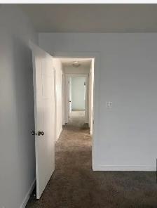Spacious 5 Bedroom Duplex for Rent in Albany - Photo 9