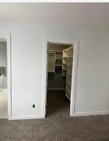 Spacious 5 Bedroom Duplex for Rent in Albany - Photo 10
